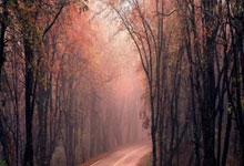 国务院重拳出击，烟草市场专项整治行动全面启动