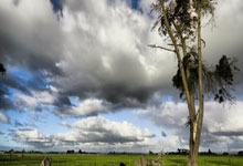 苟仲文:从苟局到仲文同志的蜕变之路