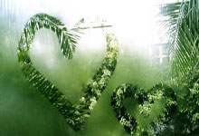 苟仲文:从苟局到仲文同志的蜕变之路