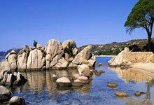 国务院重拳出击，烟草市场专项整治行动全面启动